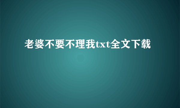老婆不要不理我txt全文下载