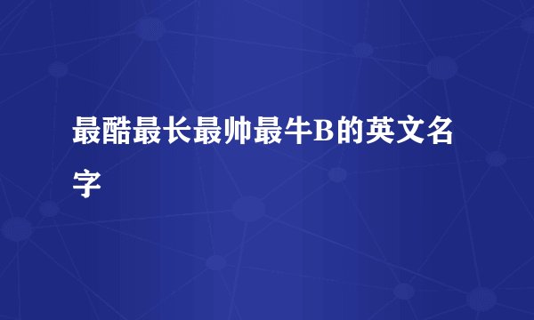 最酷最长最帅最牛B的英文名字