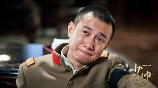 少帅电视剧好看