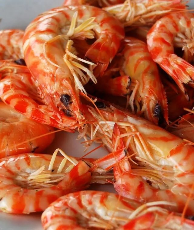 惠州惠东港口镇好不好玩，听说有很多海鲜？