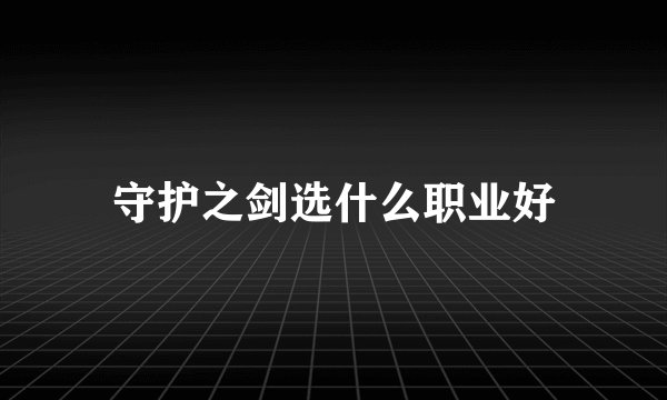 守护之剑选什么职业好