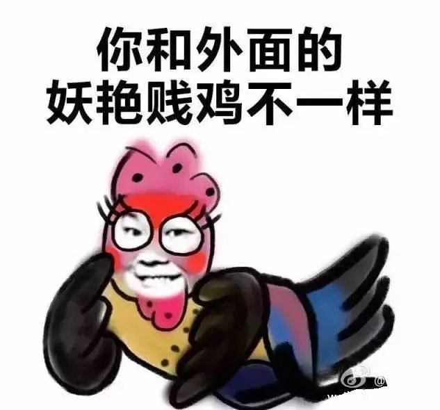鸡年春晚吉祥物有毒：我跟外面的妖艳贱鸡不一样！