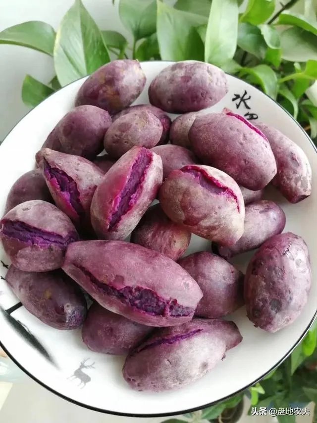 越南什么时候可以入境中国