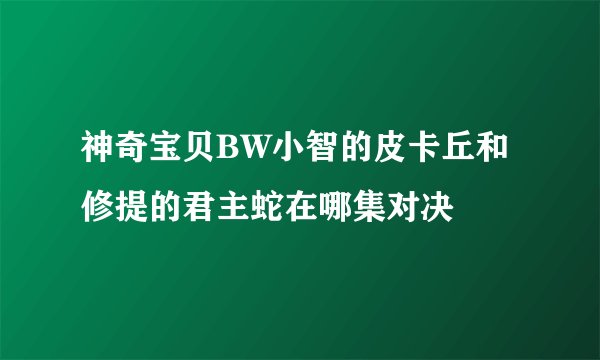 神奇宝贝BW小智的皮卡丘和修提的君主蛇在哪集对决