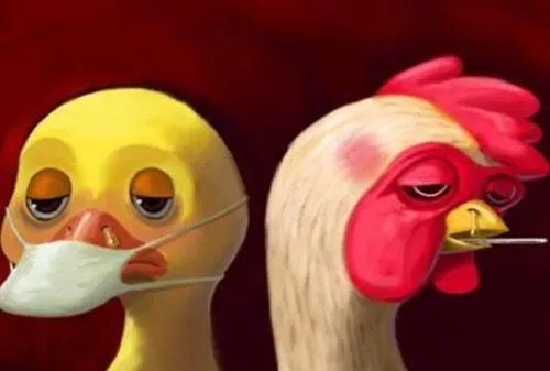 澳大利亚爆发H7N7禽流感，夏天禽流感能大范围传播吗？