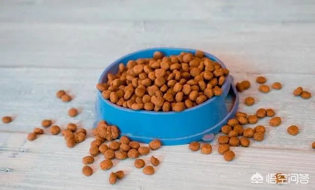 萨摩耶吃什么狗粮好？