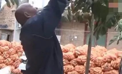 母亲摘140斤柿子送儿子返程，这是一种怎样的母爱？