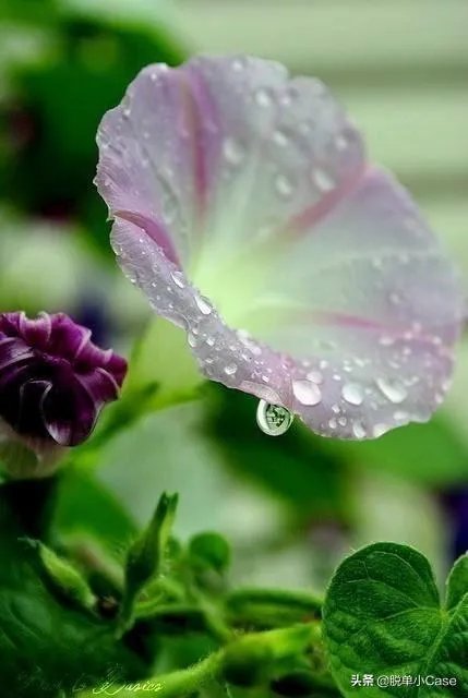 梁静茹的《fly away》是要表达什么意思呢，尤其一个女生发给一个男生？