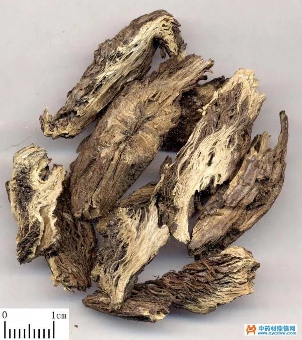 中药材鼎信网的介绍