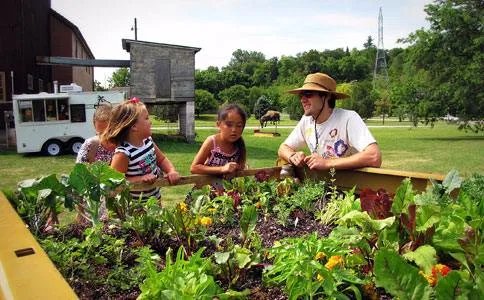 周末农场的模式