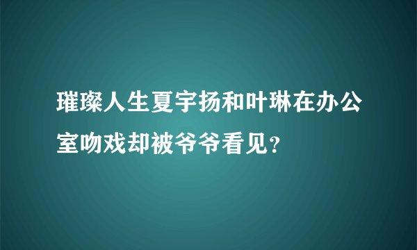 璀璨人生夏宇扬和叶琳在办公室吻戏却被爷爷看见？