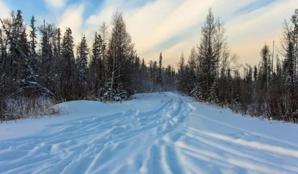 今年会是最冷的冬天吗？