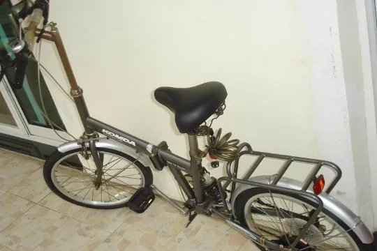 折叠自行车什么牌子好？求推荐