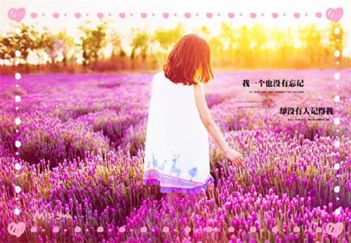 总裁爹地买一送一小说 夏暖陆寒予无弹窗阅读