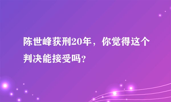 陈世峰获刑20年，你觉得这个判决能接受吗？
