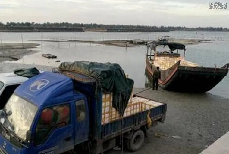 南宁破海鲜走私案 走私海产品500余吨案值5千万元