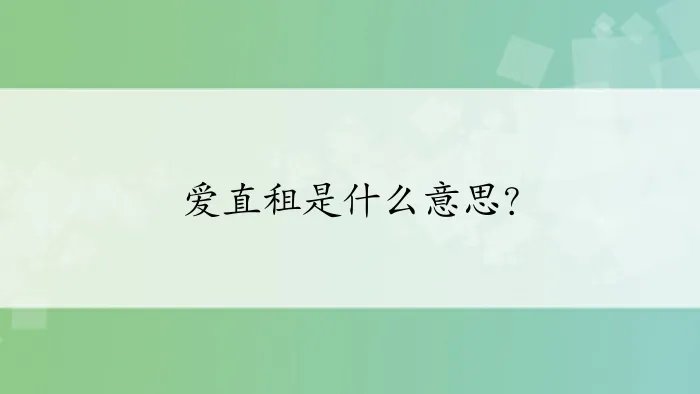 爱直租是什么意思？