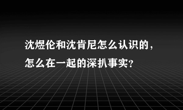 沈煜伦和沈肯尼怎么认识的，怎么在一起的深扒事实？