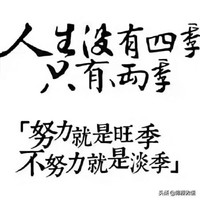 中考化学冲刺阶段该如何备考？