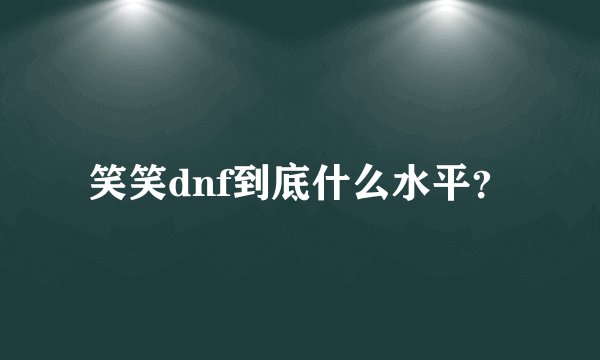 笑笑dnf到底什么水平？
