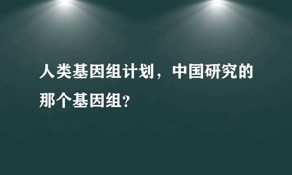 人类基因组计划，中国研究的那个基因组？