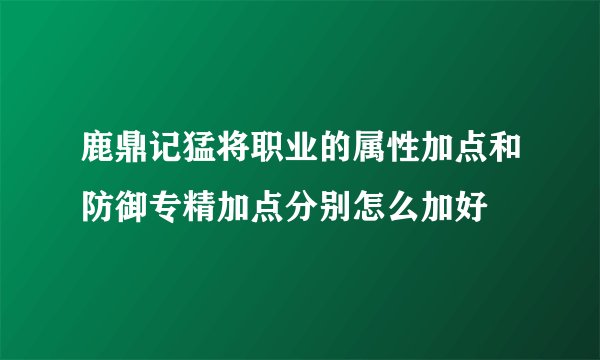 鹿鼎记猛将职业的属性加点和防御专精加点分别怎么加好