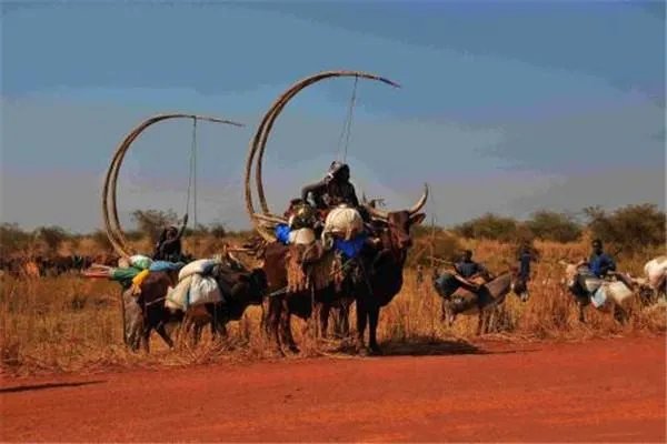 埃及开罗有战乱吗