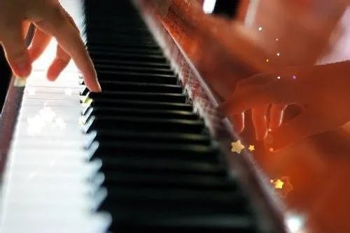 石磊陈雨柔小说 石磊陈雨柔医圣女婿免费阅读