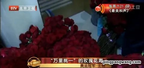 福原爱婚纱照幸福甜蜜,世界体坛还有哪些人生赢家?