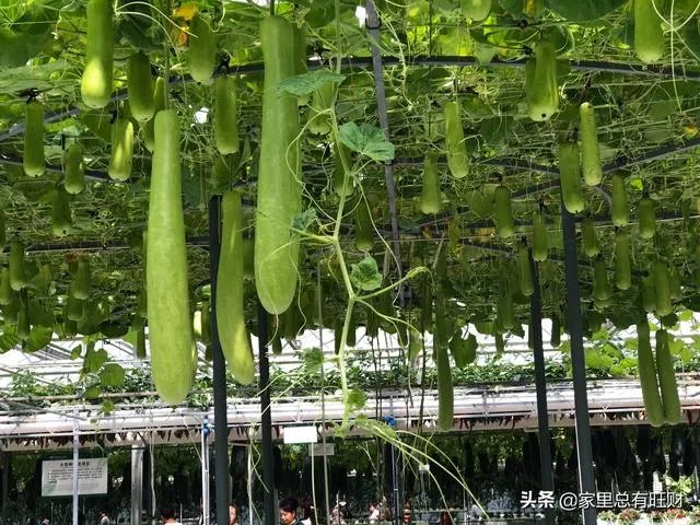 现在想往农业方面发展，有没有比较好的农业资讯软件啊？求推荐？