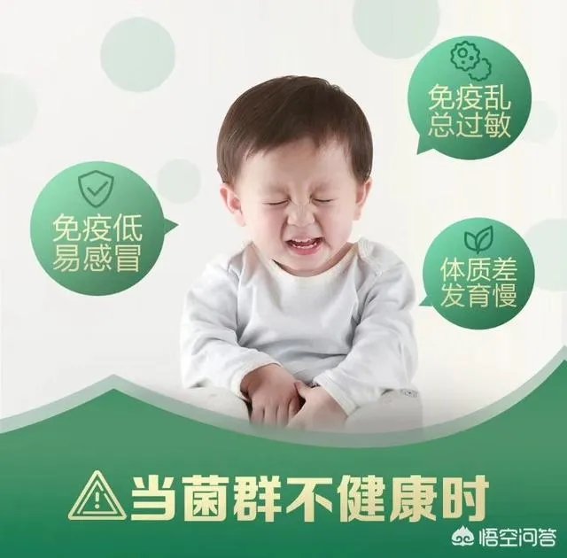 你们买益生菌的话都是买什么品牌的？