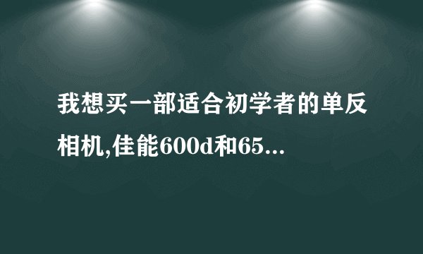 我想买一部适合初学者的单反相机,佳能600d和650d哪个更好一些?