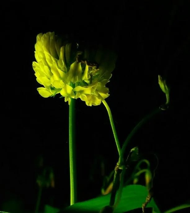 好看的锁屏壁纸有可以分享的吗？