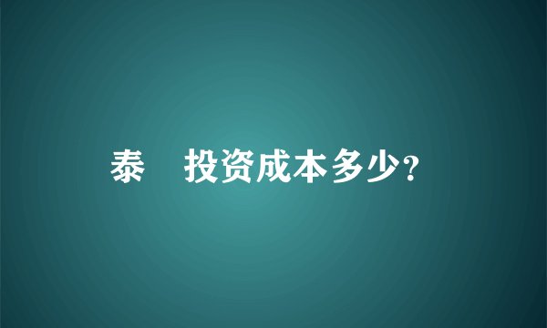 泰囧投资成本多少？