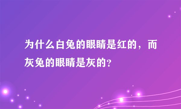 为什么白兔的眼睛是红的，而灰兔的眼睛是灰的？
