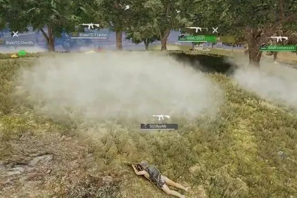 绝地求生fgs国际邀请赛排名是怎样的？