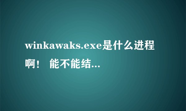 winkawaks.exe是什么进程啊！ 能不能结束这个进程