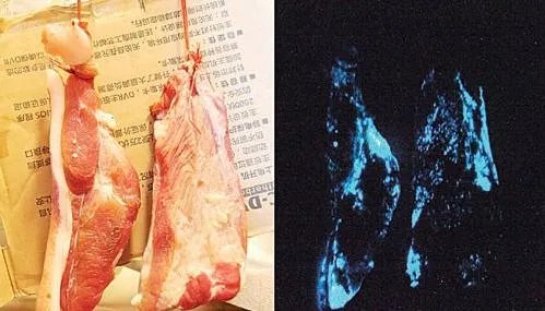 蓝光猪肉，是怎么回事？