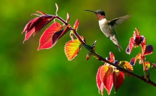 有什么好的摄影主题