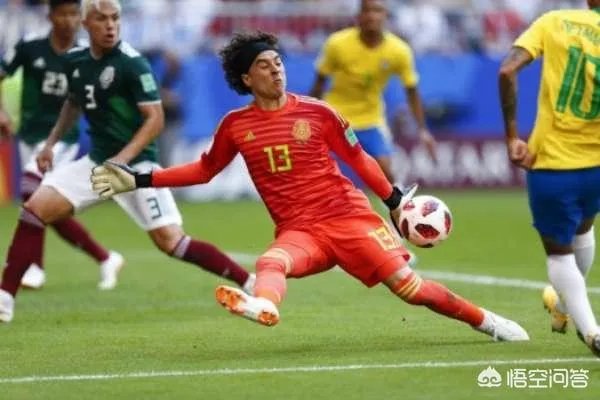 奥乔亚消效力哪里