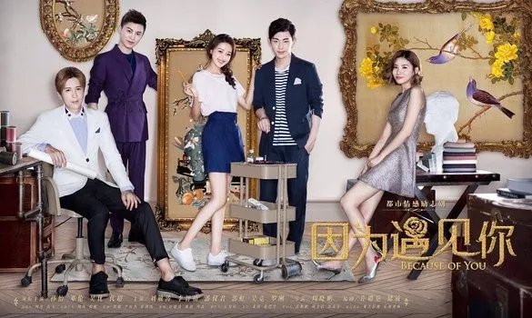 如何评价因为遇见你?