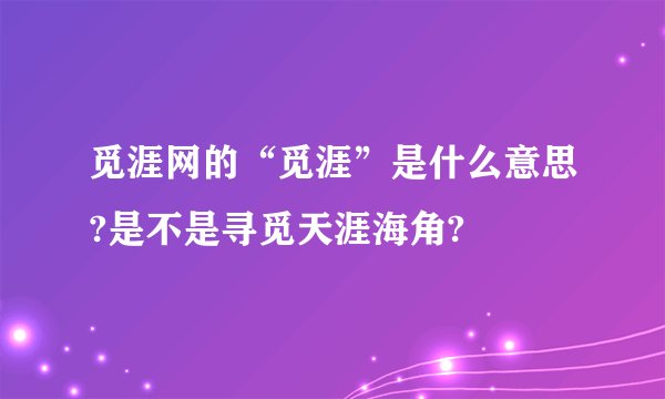 觅涯网的“觅涯”是什么意思?是不是寻觅天涯海角?