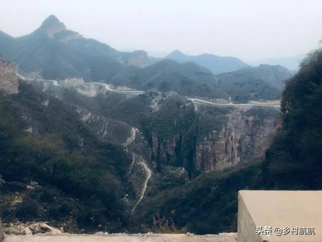 农户在集体荒地上种植竹子，成林后被偷砍且挖掉，能得到赔偿吗？有何依据？