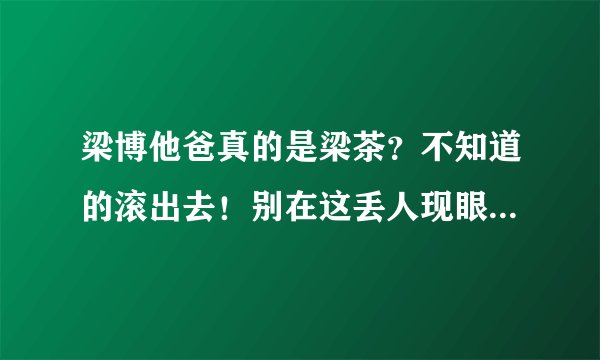 梁博他爸真的是梁茶？不知道的滚出去！别在这丢人现眼！否着生儿子没