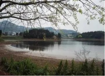 你如何看待“男孩溺亡家长告8同伴”这件事?