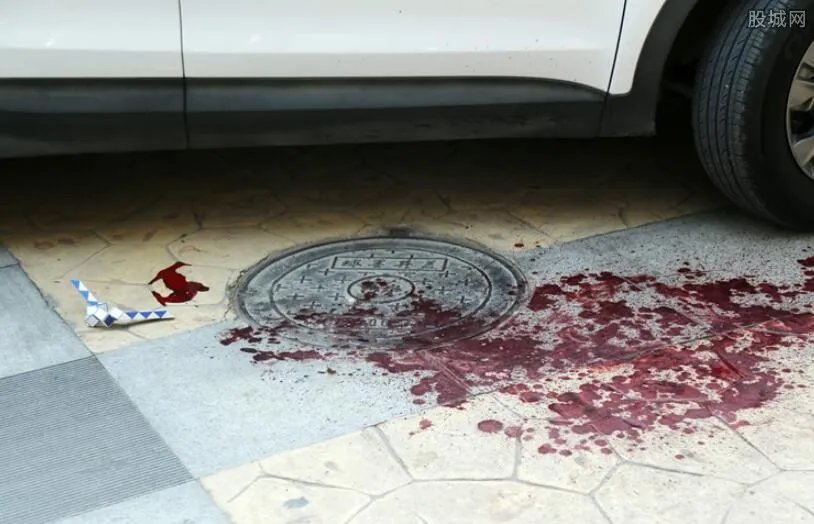 逆行骑车撞保时捷  揭秘电动车撞向豪车的真相