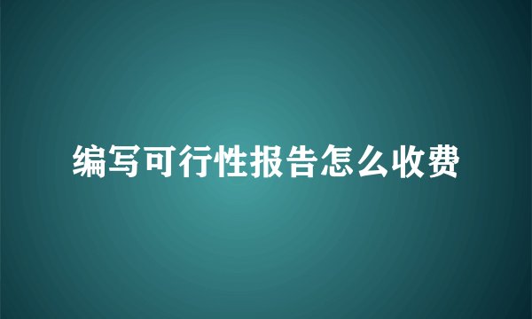 编写可行性报告怎么收费