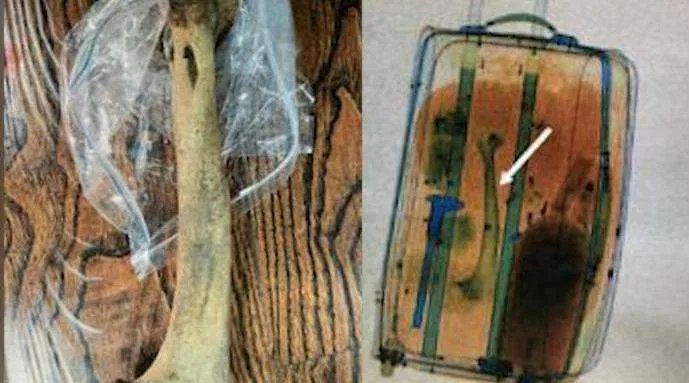 出国务工拾虎骨带回国内获刑5年是怎么回事？