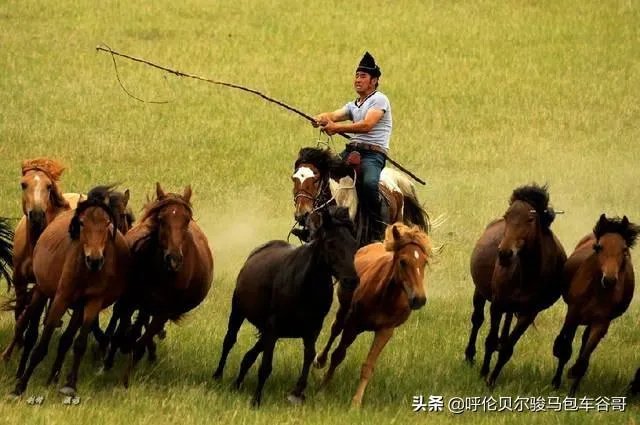 尼康d300s怎么样？