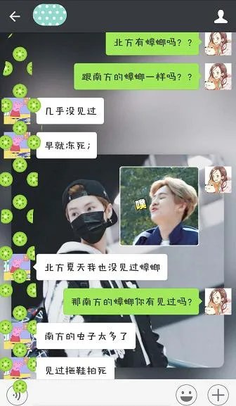 北方蟑螂和南方蟑螂哪个更可怕？